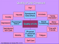 thumb QOL web 2020